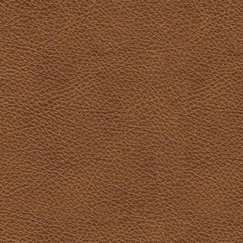 Emilia - 5 Piece Sectional